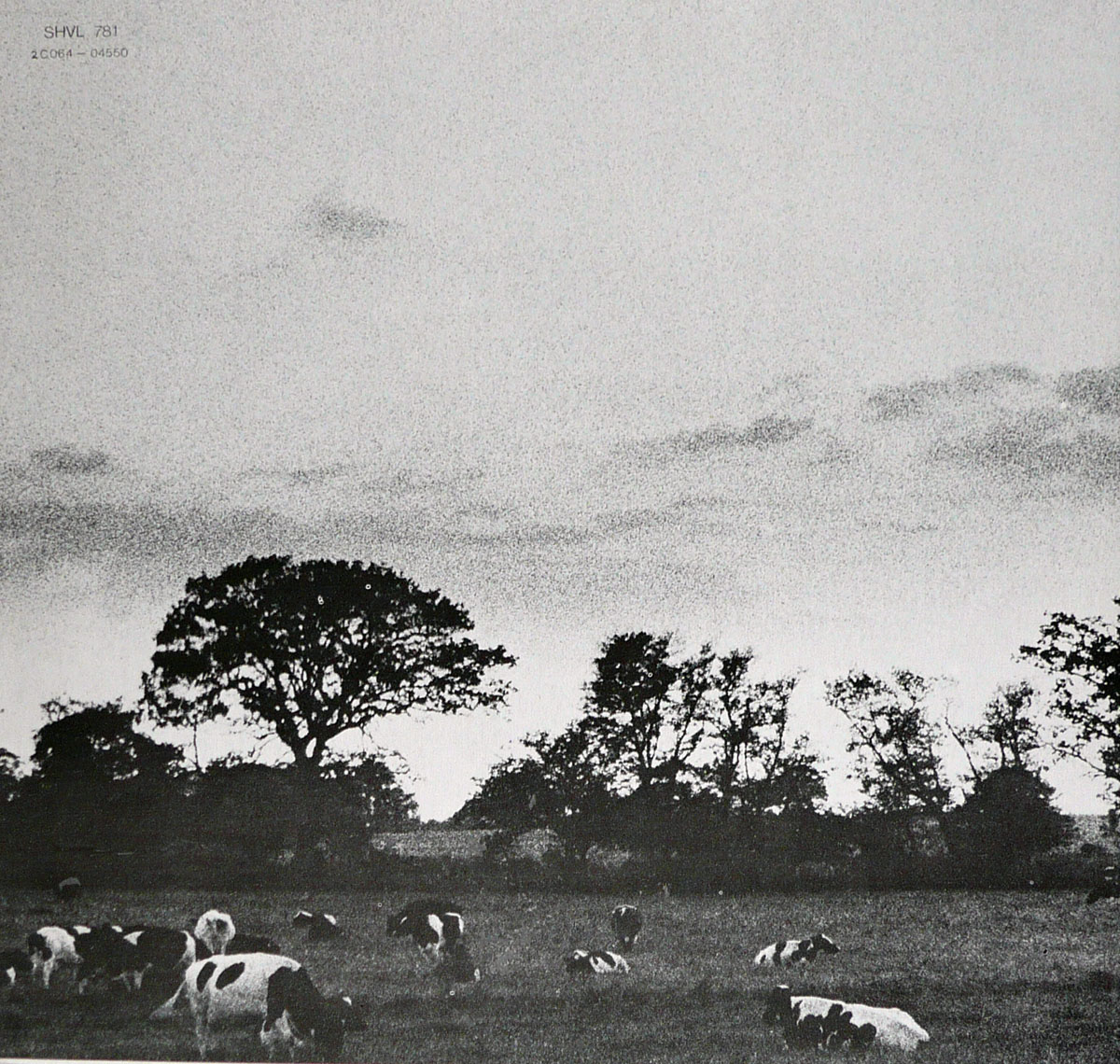 High Resolution Photo #3 PINK FLOYD Atom Heart France 1st 